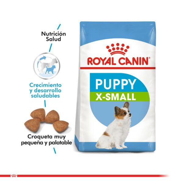 Tienda de Mascotas