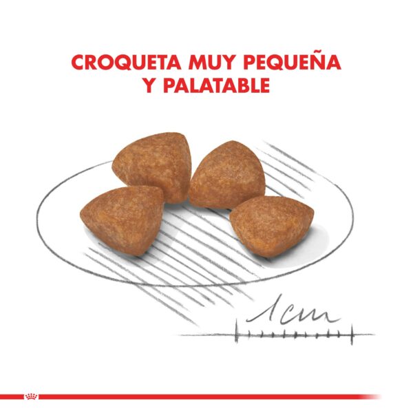Tienda de Mascotas