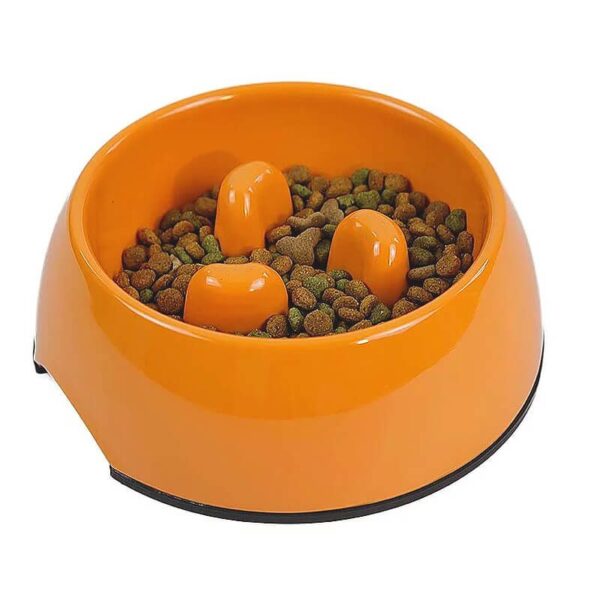 Tienda de Mascotas