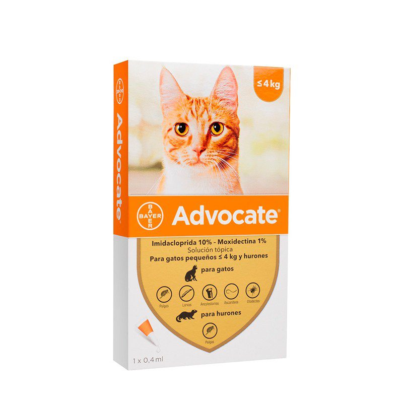 Advocate Antiparasitario Gato 4 Kg - Club Animal