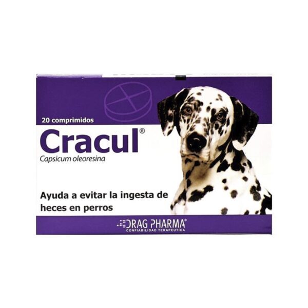 Tienda de Mascotas