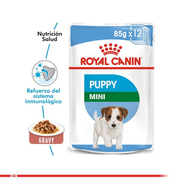 Tienda de Mascotas