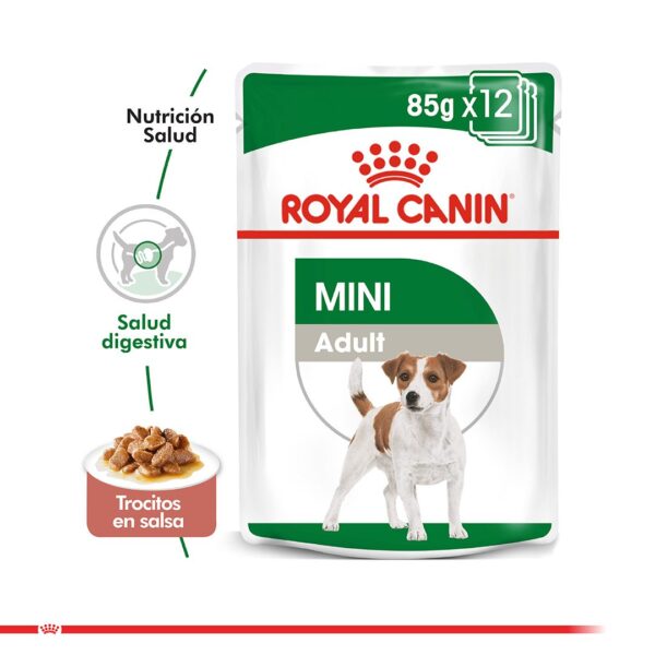 Tienda de Mascotas