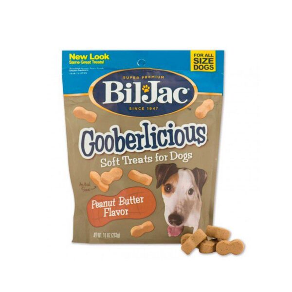 Tienda de Mascotas