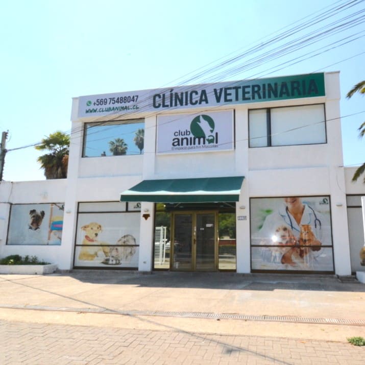 Nosotros 3 Tienda de Mascotas